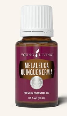 Melaleuca Quinquenervia Essential Oil, New, Young Living